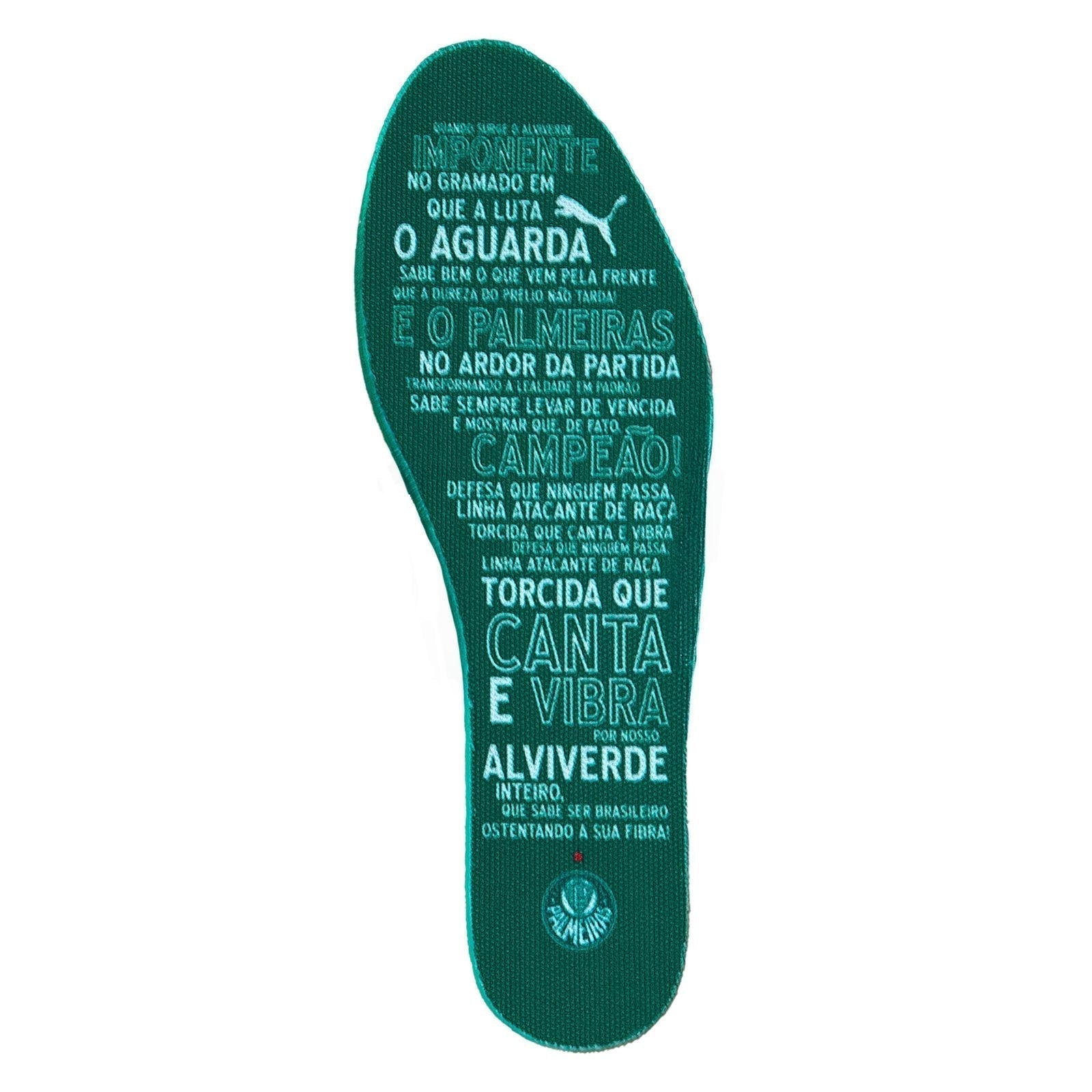 Tênis Dista Palmeiras Puma 25/26