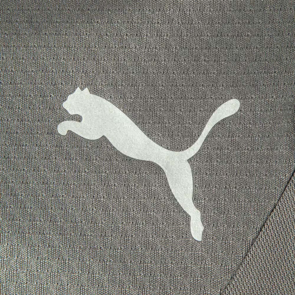 Puma Calça Fluminense Treino Cast Iron 2026 Masculina