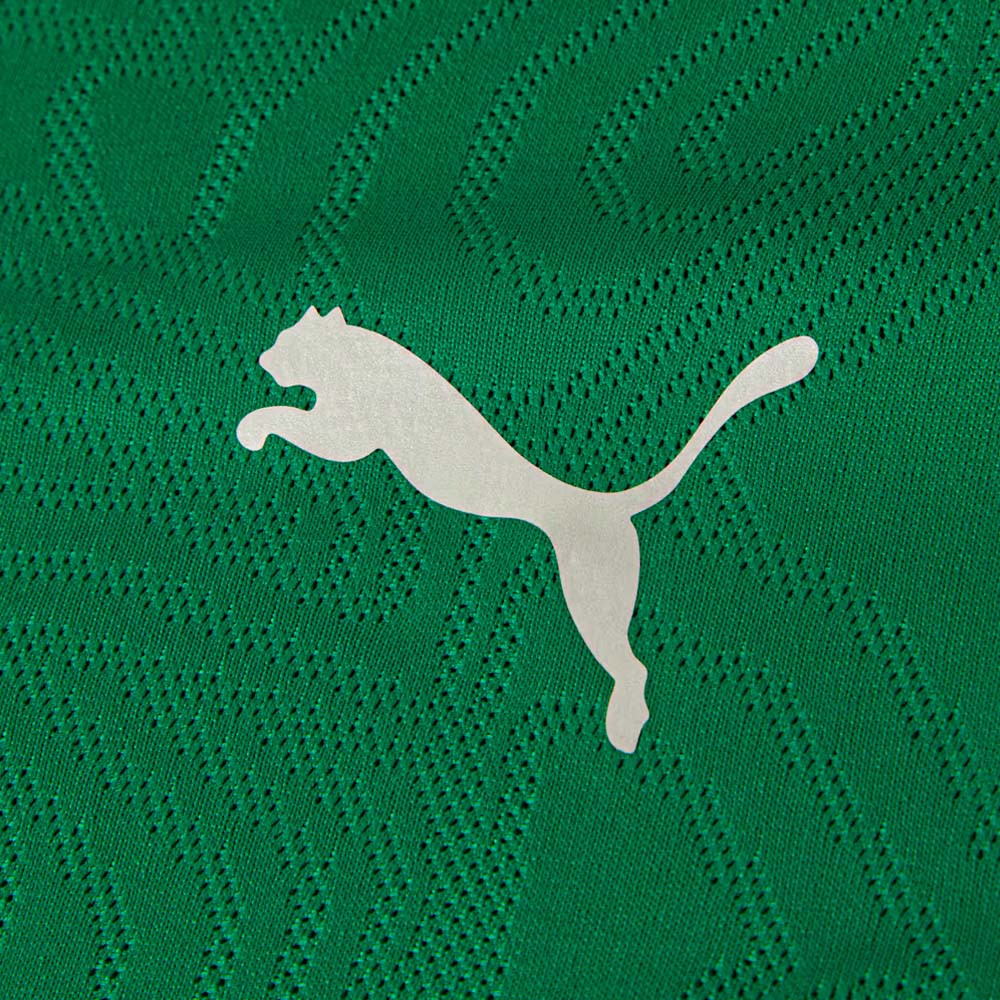 Puma Camisa Fluminense Treino Sport Green 2026 Masculina