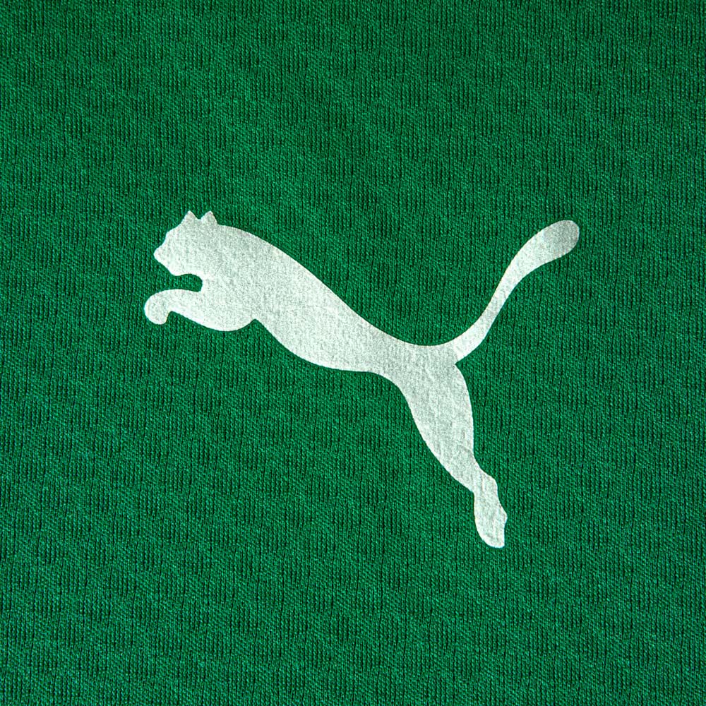 Puma Jaqueta Fluminense Treino Sport Green 2026 Masculina