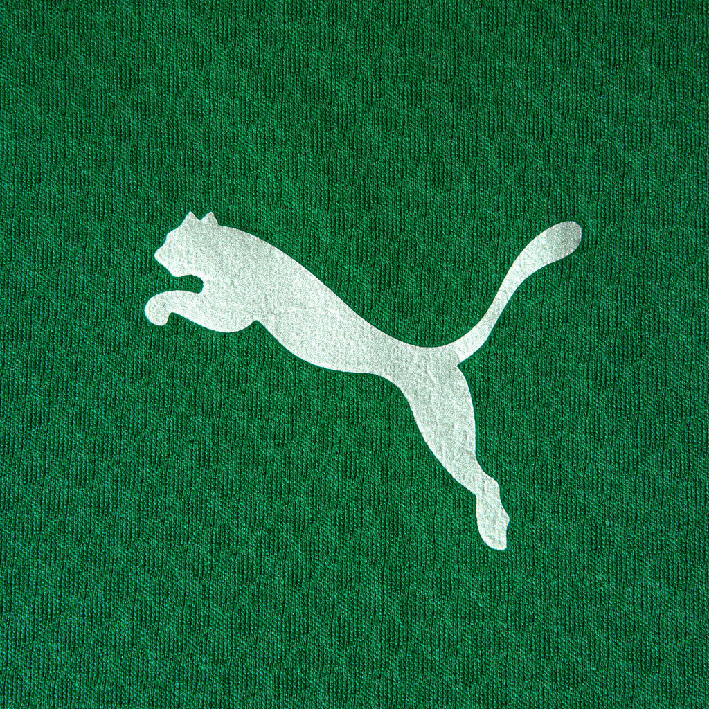 Jaqueta de Treino Fluminense 2026 PUMA Masculina