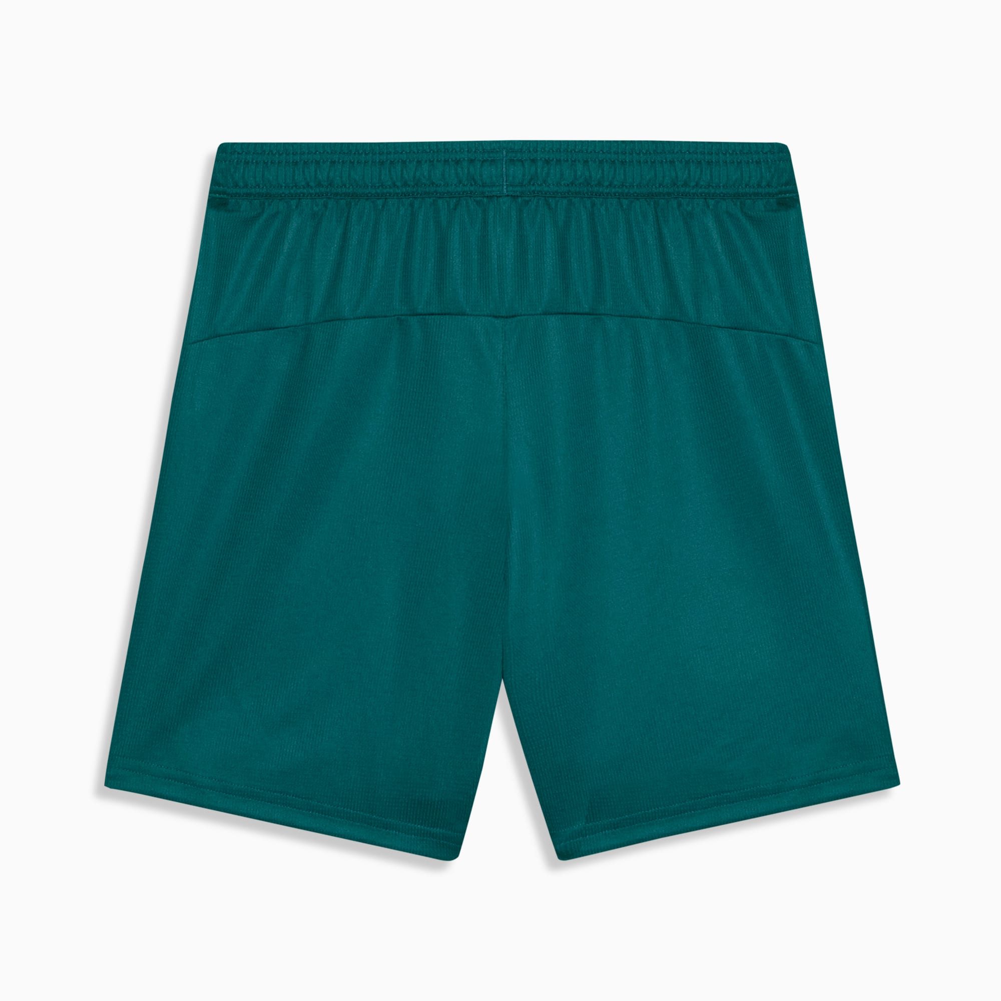 Shorts Fluminense Torcedor Third 26/27 Feminina PUMA Verde