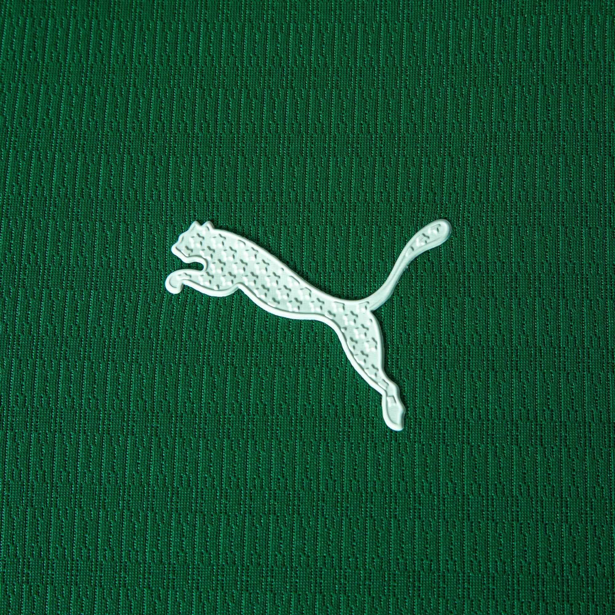 Camisa Palmeiras HOME 2026 Jogadora Feminina