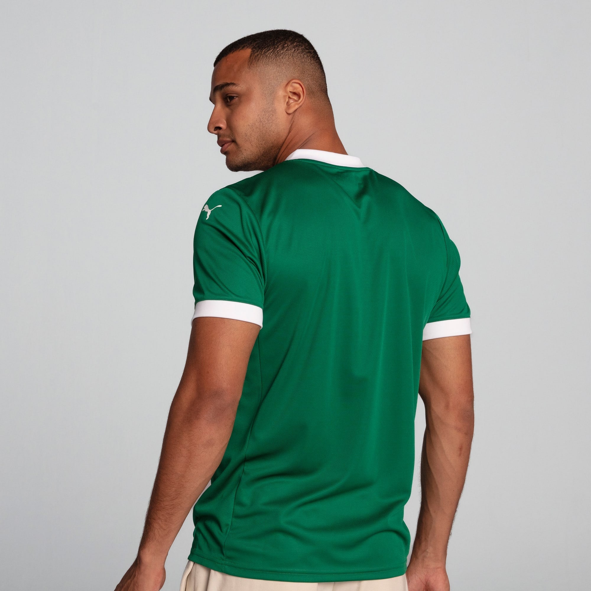 Camisa Palmeiras HOME Torcedor 2025