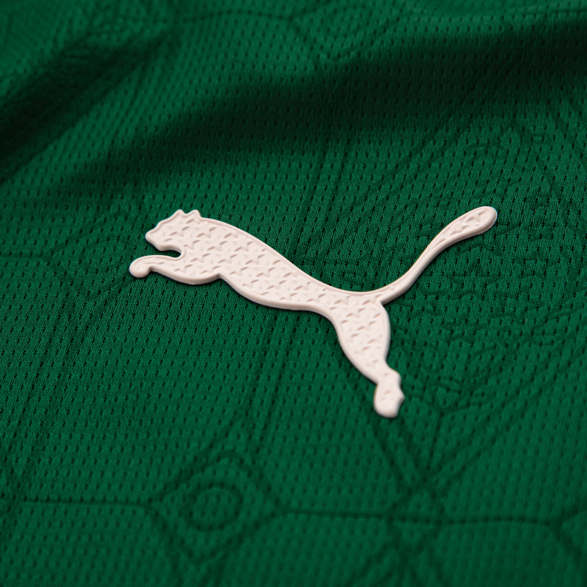 Camisa Palmeiras Jogador HOME 2025