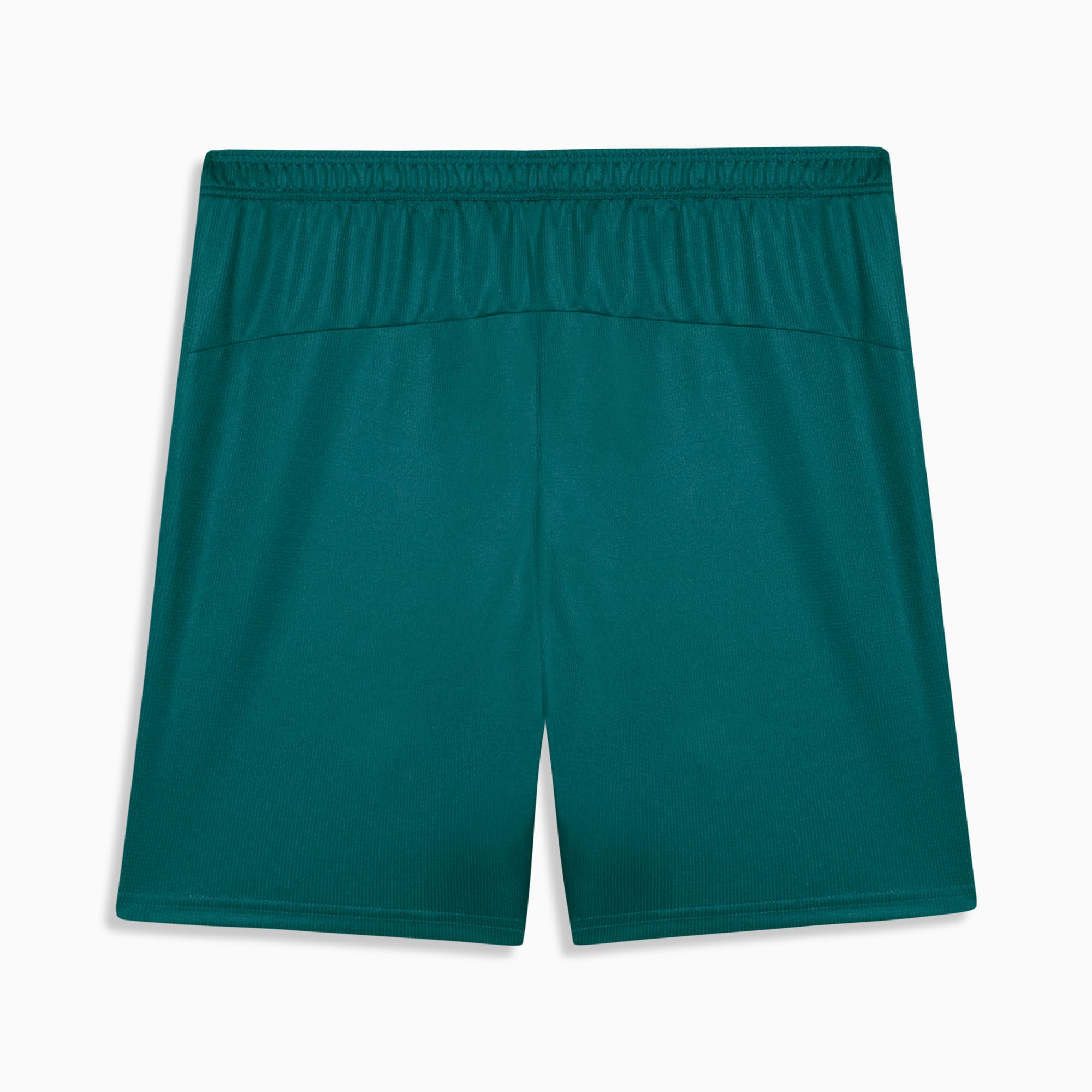 Shorts Fluminense Torcedor Third 26/27 PUMA Masculino Cold Green