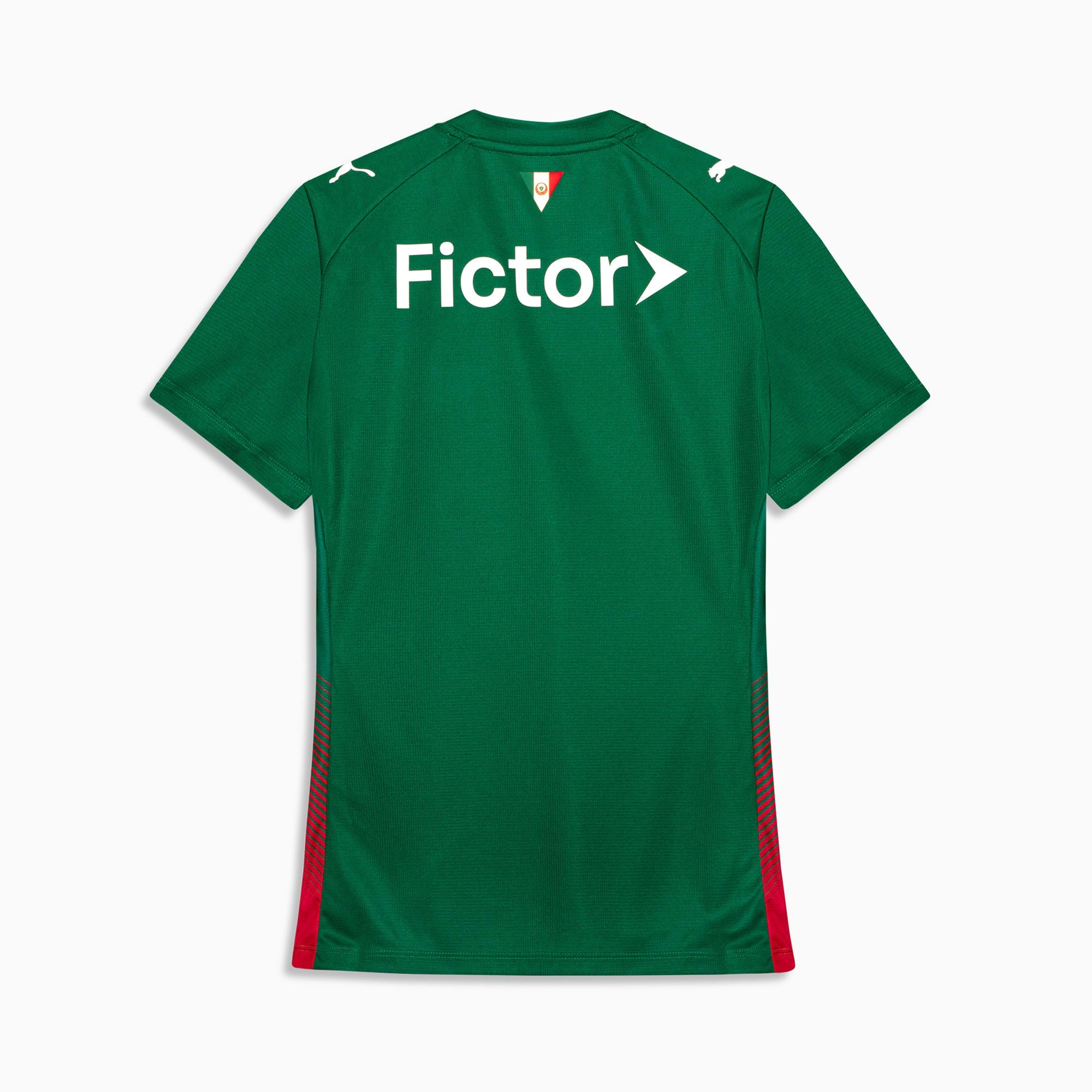 Camisa Palmeiras HOME 2026 Torcedora Feminina
