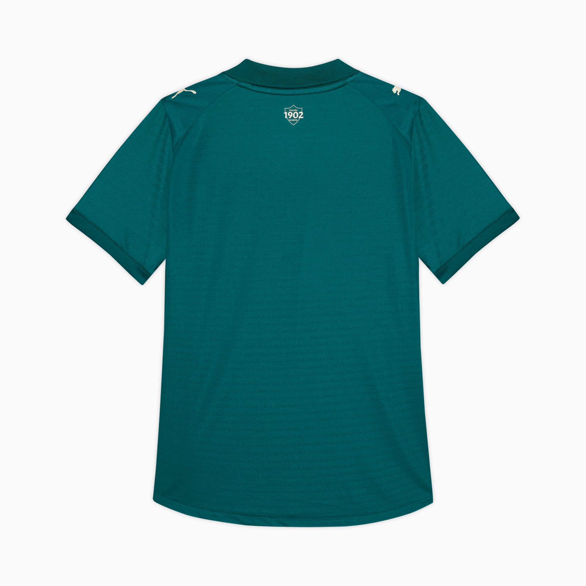 Camisa Fluminense Third Jogador 26/27 PUMA Masculina Cold Green