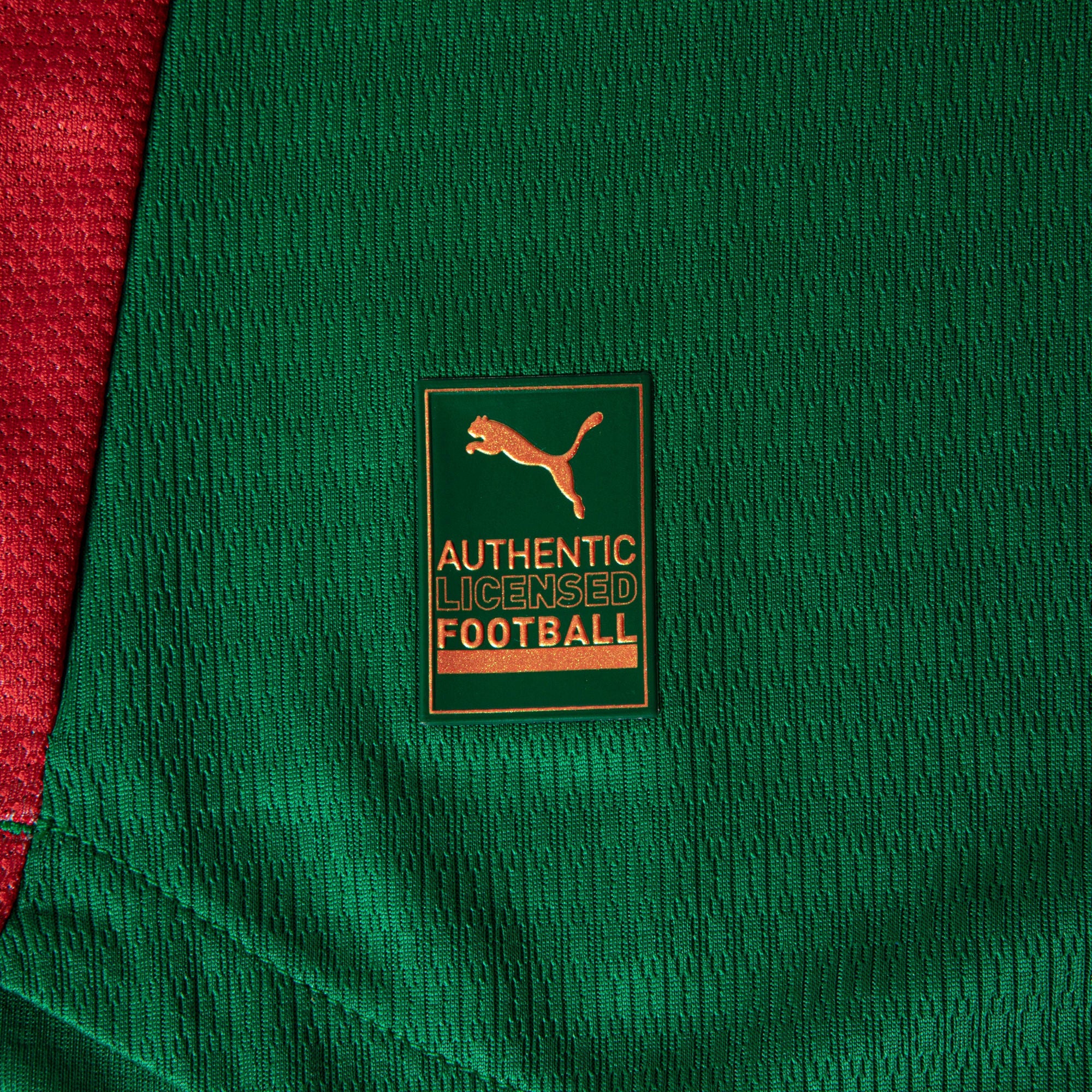 Camisa Palmeiras HOME 2026 Jogadora Feminina