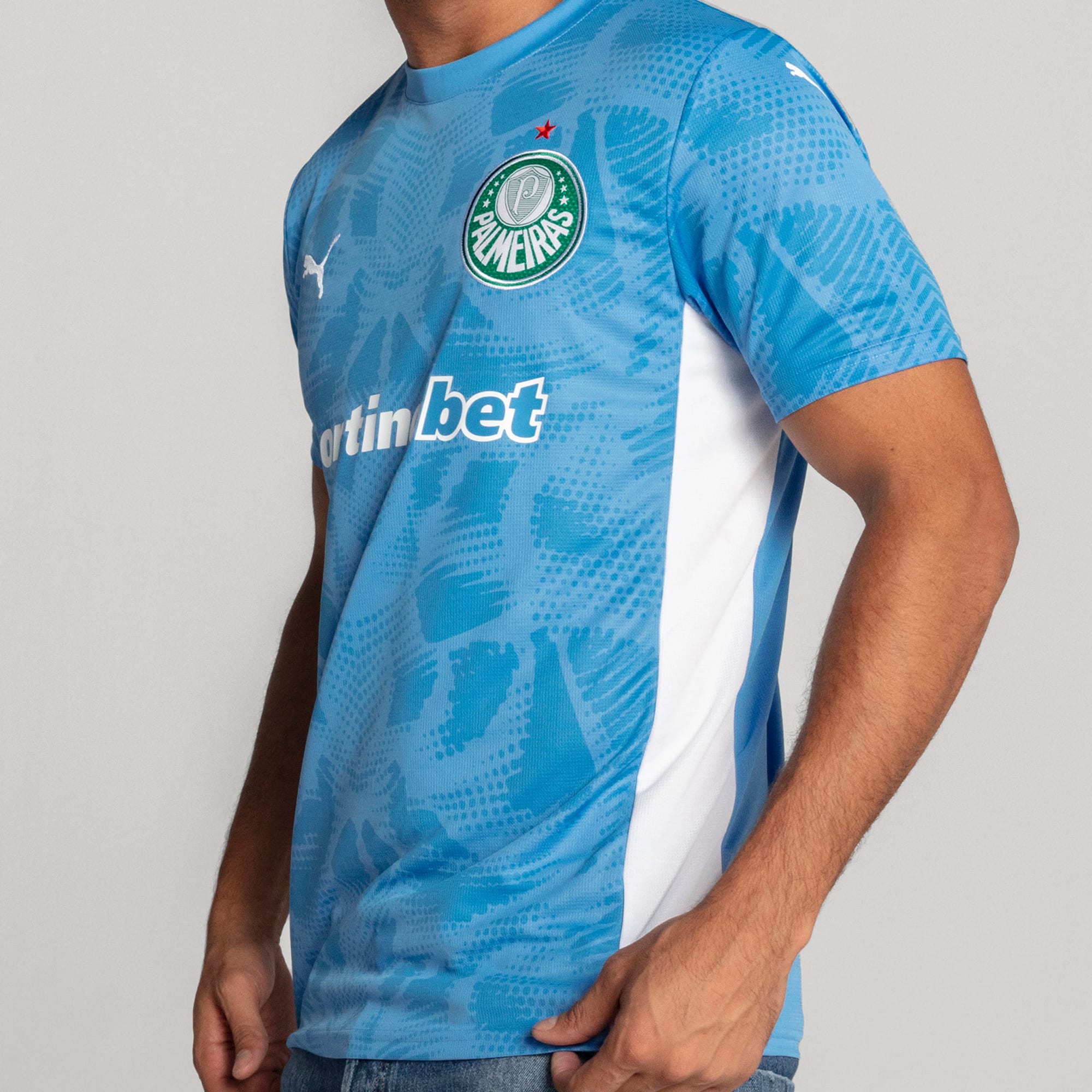 Camisa Goleiro Palmeiras Torcedor HOME 2025