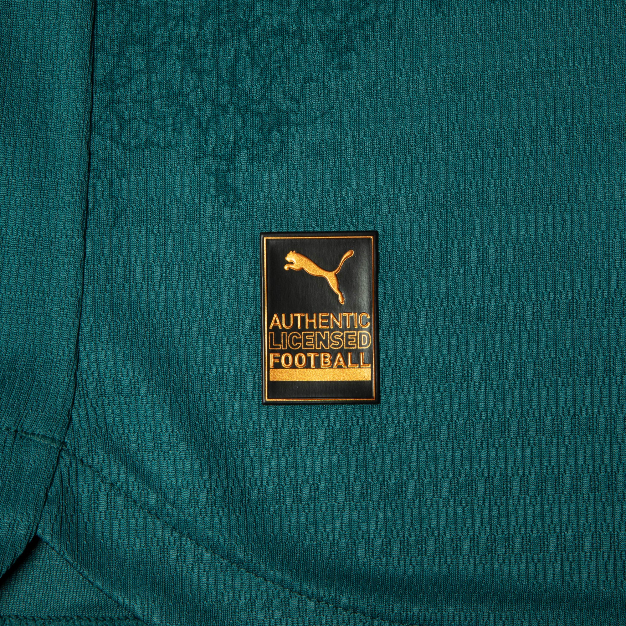 Camisa Fluminense Third Jogador 26/27 PUMA Masculina Cold Green