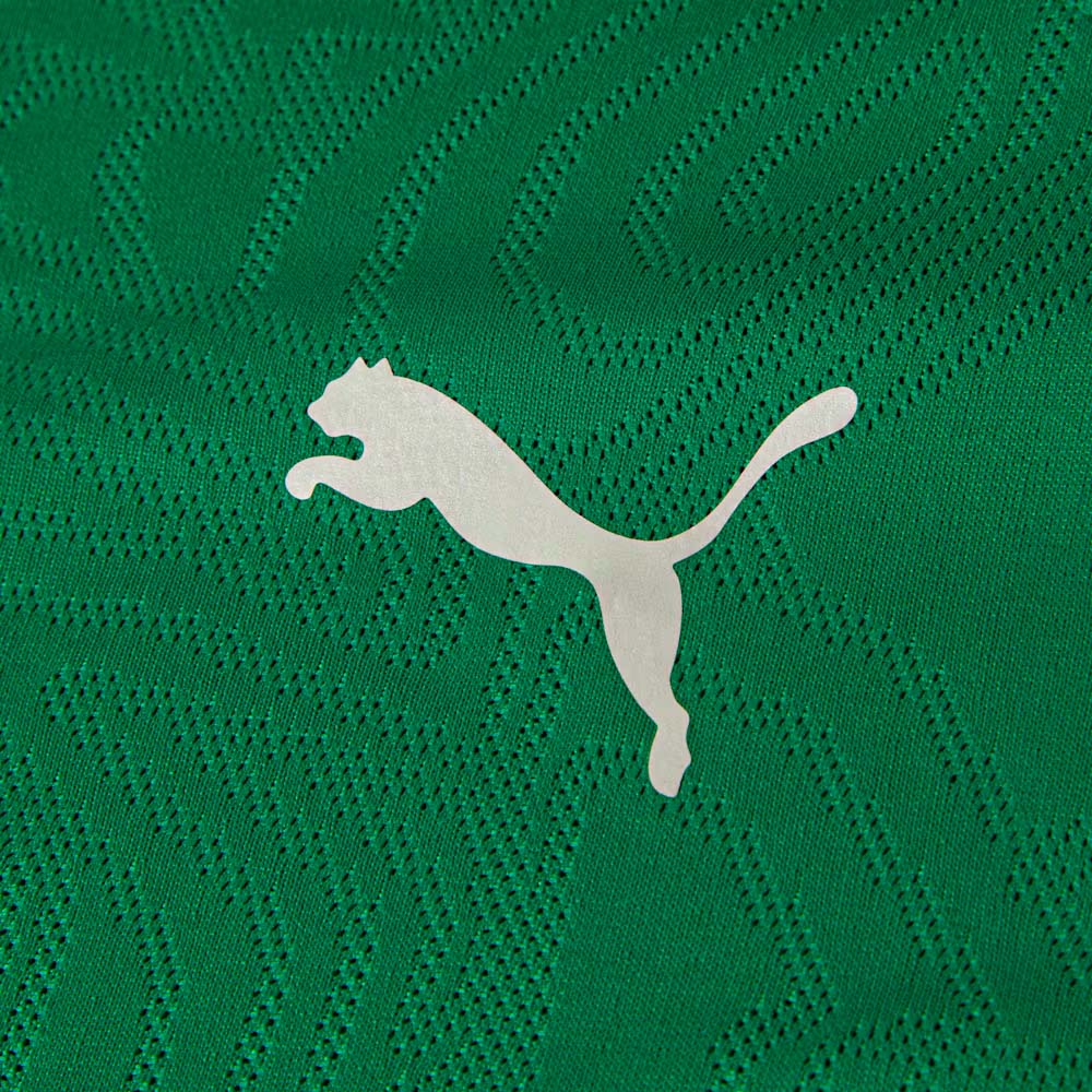 Puma Regata Fluminense Treino Sport Green 2026 Masculina