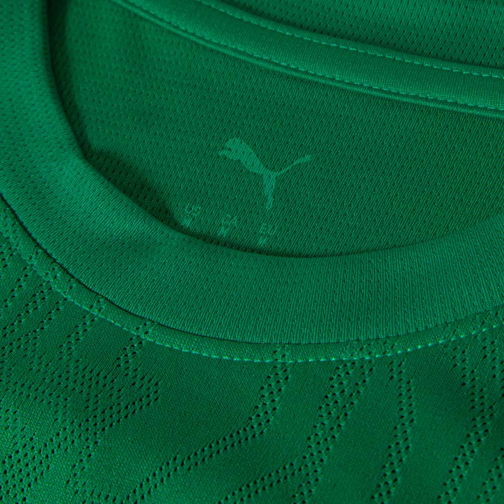 Puma Regata Fluminense Treino Sport Green 2026 Masculina